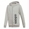 ADIDAS YOUNG BOY LINEAR FLEECE HOODIE GREY DJ1786 1 ADIDAS YOUNG BOY LINEAR FLEECE HOODIE GREY DJ1786 -Nudie Barney Shop adidas yb lin fleece hoodie dj1786 grey 500x500 1